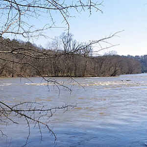 Life Flow of the Chatthoochee River